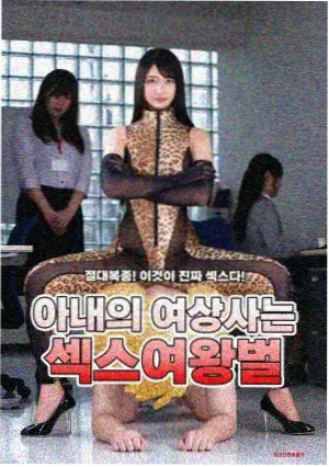 归途有风 公路情感小说封面